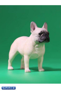 1/6 Scale beige French Bulldogs 3.0