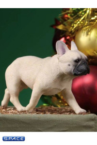 1/6 Scale beige French Bulldogs 3.0