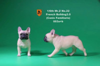 1/6 Scale beige French Bulldogs 3.0
