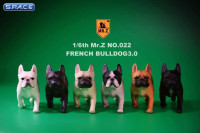 1/6 Scale black/white French Bulldogs 3.0