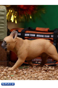 1/6 Scale brown French Bulldogs 3.0
