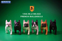 1/6 Scale brown French Bulldogs 3.0