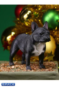 1/6 Scale black French Bulldogs 3.0