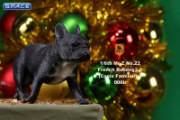 1/6 Scale black French Bulldogs 3.0