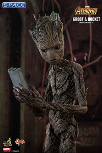 1/6 Scale Groot & Rocket Movie Masterpiece Set MMS476 (Avengers: Infinity War)