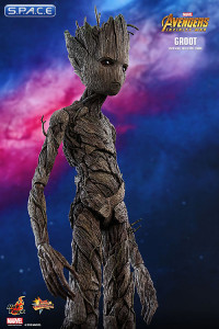 1/6 Scale Groot Movie Masterpiece MMS475 (Avengers: Infinity War)