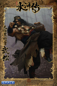 1/6 Scale Skywalker Wu Song Deluxe (The Water Margin)