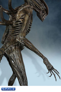 Xenomorph Statue (Alien: Covenant)