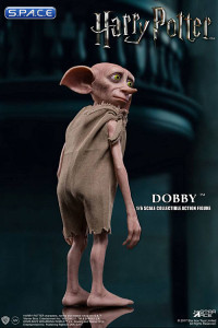 1/6 Scale Lucius Malfoy & Dobby (Harry Potter and the Goblet of Fire)