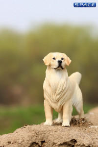 1/6 Scale Golden Retriever creme