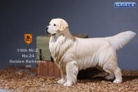 1/6 Scale Golden Retriever creme