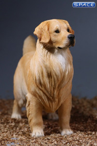 1/6 Scale Golden Retriever golden