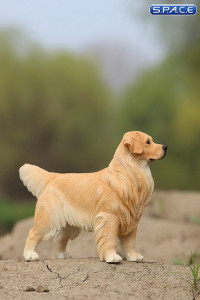 1/6 Scale Golden Retriever golden