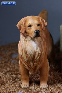 1/6 Scale Golden Retriever dark golden