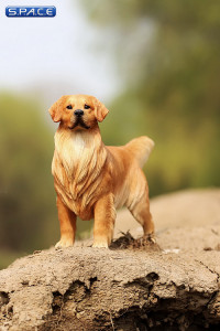 1/6 Scale Golden Retriever dark golden