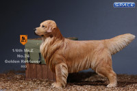 1/6 Scale Golden Retriever dark golden