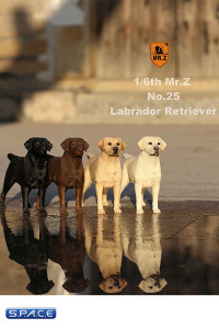 1/6 Scale Labrador Retriever creme