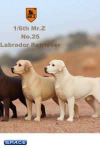 1/6 Scale Labrador Retriever yellow