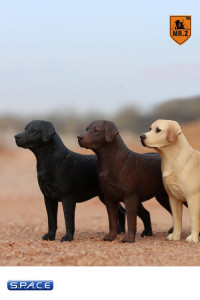 1/6 Scale Labrador Retriever black