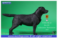 1/6 Scale Labrador Retriever black