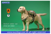 1/6 Scale Tactical Canine Vest