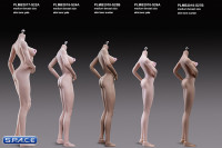 1/6 Scale Asian Girl type Seamless pale Body / medium breast / headless