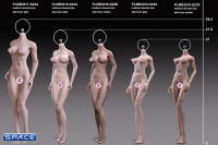 1/6 Scale Asian Girl type Seamless suntan Body / medium breast / headless