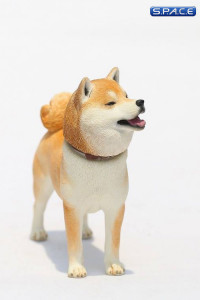 1/6 Scale Shiba Inu red