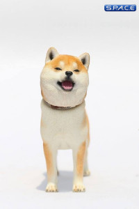 1/6 Scale Shiba Inu red