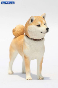 1/6 Scale Shiba Inu red