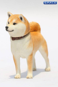 1/6 Scale Shiba Inu red