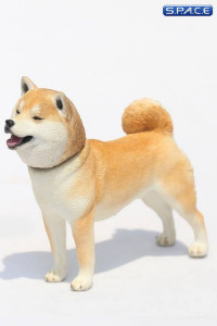 1/6 Scale Shiba Inu red