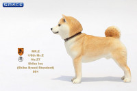 1/6 Scale Shiba Inu red