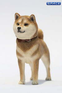 1/6 Scale Shiba Inu red-sesame