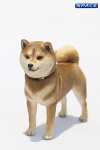 1/6 Scale Shiba Inu red-sesame