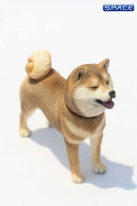 1/6 Scale Shiba Inu red-sesame