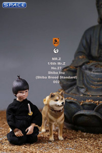 1/6 Scale Shiba Inu red-sesame