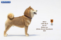 1/6 Scale Shiba Inu red-sesame