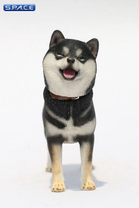 1/6 Scale Shiba Inu black