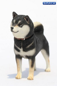 1/6 Scale Shiba Inu black