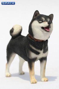 1/6 Scale Shiba Inu black