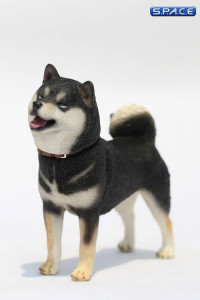 1/6 Scale Shiba Inu black