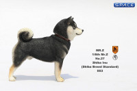 1/6 Scale Shiba Inu black