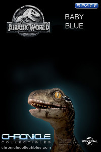 1:1 Baby Blue Life-Size Statue (Jurassic World: Fallen Kingdom)