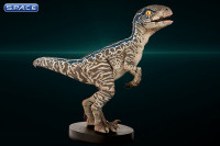 1:1 Baby Blue Life-Size Statue (Jurassic World: Fallen Kingdom)