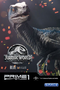 1/6 Scale Blue Legacy Museum Collection Statue (Jurassic World: Fallen Kingdom)