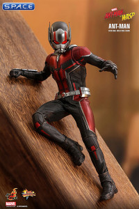 1/6 Scale Ant-Man Movie Masterpiece MMS497 (Ant-Man and the Wasp)