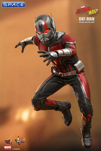 1/6 Scale Ant-Man Movie Masterpiece MMS497 (Ant-Man and the Wasp)