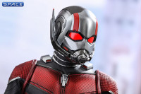 1/6 Scale Ant-Man Movie Masterpiece MMS497 (Ant-Man and the Wasp)