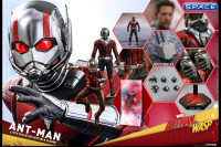 1/6 Scale Ant-Man Movie Masterpiece MMS497 (Ant-Man and the Wasp)